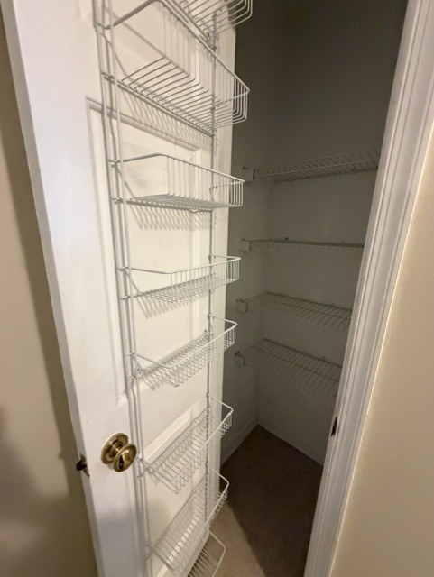 Gallery Photo 10